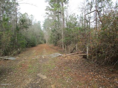 211 Peewee Miller Rd, Lucedale, MS 39452 - photo 2