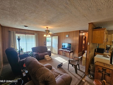 439 W Cedar St, Durant, MS 39063 - photo 5