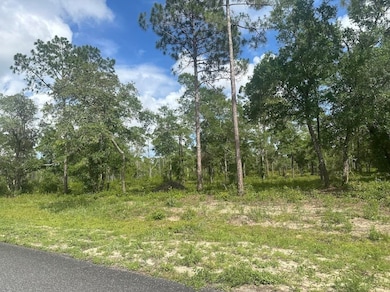 xx Ramsay Way, Panacea, FL 32346 - photo 2