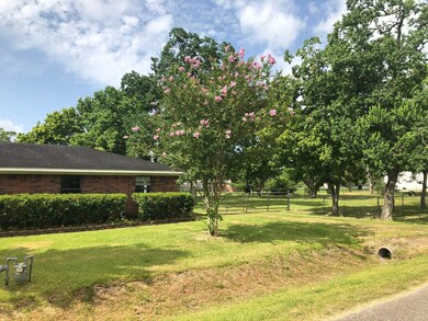 5918 Larrycrest Dr, Pearland, TX 77584 - photo 2