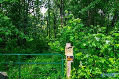 Bobo Section Bobo Section Rd, Hazel Green, AL 35750 - photo 4