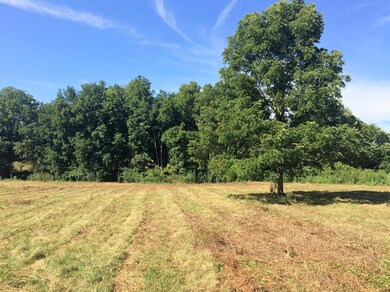 30 Ac. - Borden Grant Trail unit 706, Fairfield, VA 24435 - photo 5