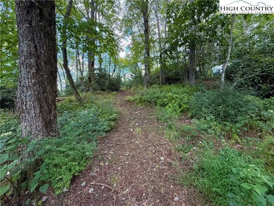 tbd Timber Rock Rd, Blowing Rock, NC 28607 - photo 4
