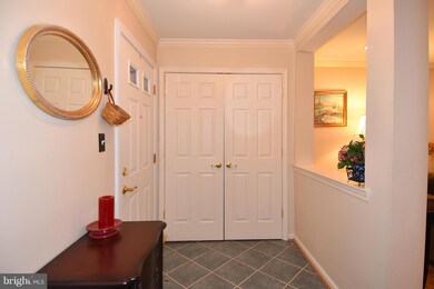 3370 Lakeside View Dr unit 14-5, Falls Church, VA 22041 - photo 3