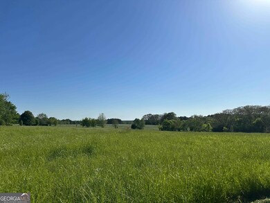 9.22 +/- ACRES Fieldcrest Ln, Madison, GA 30650 - photo 2