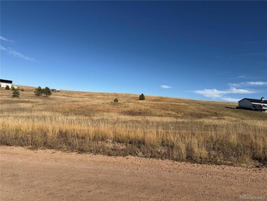 20155 E Thunder Rd, Colorado Springs, CO 80908 - photo 4