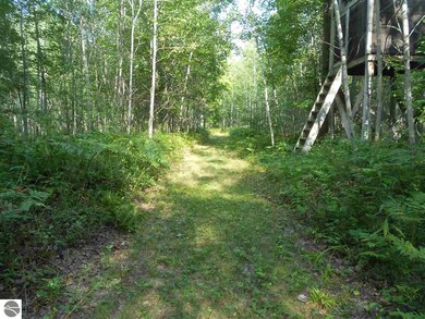 3390 Turner Rd, Turner, MI 48765 - photo 2