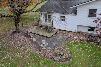 698 Albert Horning Rd, Atwater, OH 44201 - photo 4