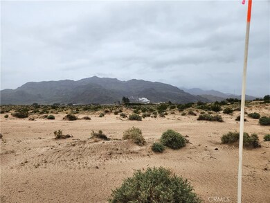 3 AC Fairview Rd, Newberry Springs, CA 92365 - photo 6
