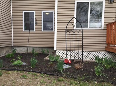 More perennials between the formal...