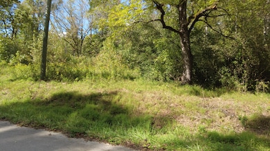 P2 Patterson Creek 5