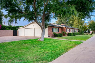 monte_vista_04