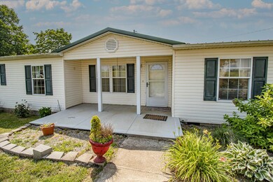 1313 Pike Bluff Rd, Ewing, KY 41039 - photo 6