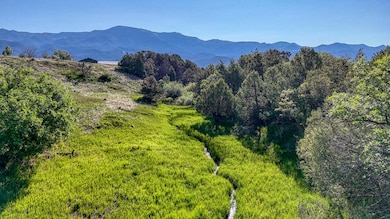 236 Boreen Way, Howard, CO 81233 - photo 6