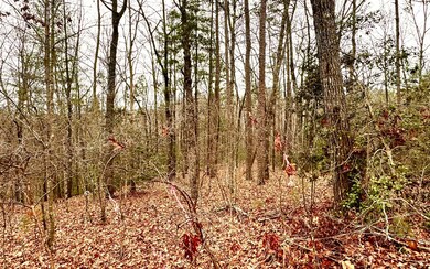 2.5AC Loy St, Ellijay, GA 30540 - photo 4