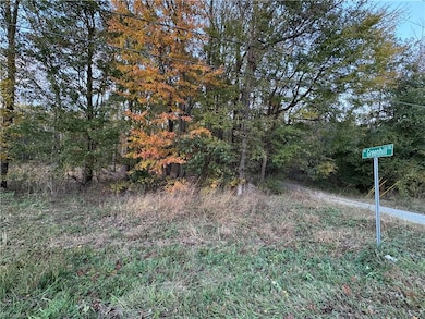 0 Davis Country Rd, Randleman, NC 27317 - photo 2