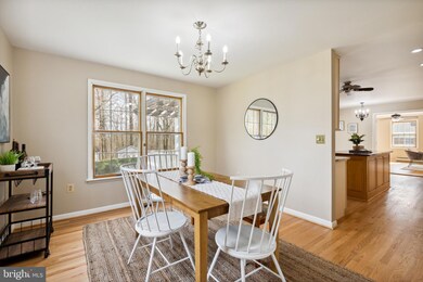 217 Lincoln Ln, Sykesville, MD 21784 - photo 6