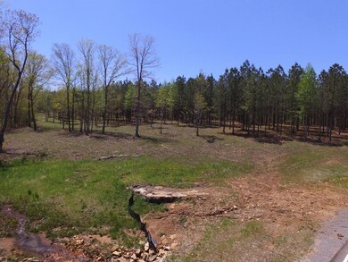 0 High Point Ln unit 1308638, Jasper, TN 37347 - photo 4