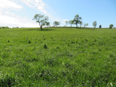 990 Craig Crossing Rd, Winchester, KY 40391 - photo 2