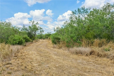 1121 County Road 481, Alice, TX 78332 - photo 4