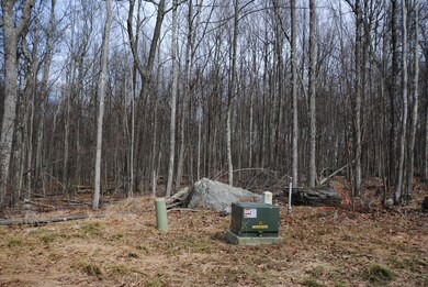 117 Blue Heron Way, Hawley, PA 18428 - photo 5