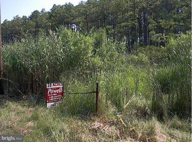 0 Kirwans Neck Rd, 5, Lakes, MD - photo 6