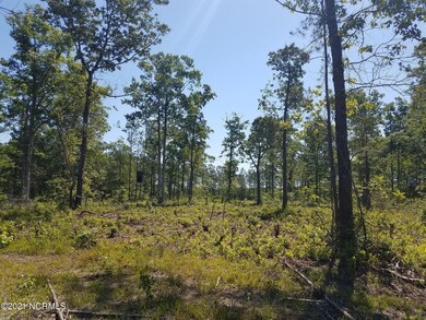 81 acres cromartie rd 1