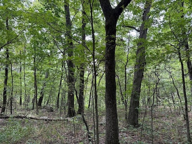 Tract 7 unit Terrapin Rd, Harrison, AR 72601 - photo 4