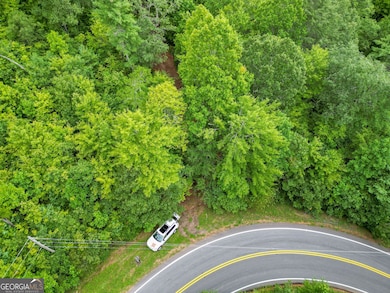 0 Hwy 28 unit 10584723, Clayton, GA 30525 - photo 4