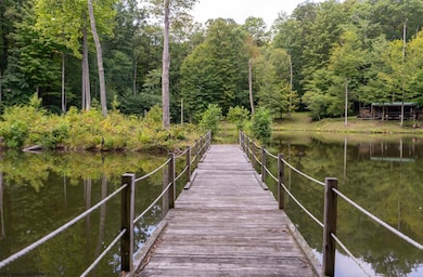 180 Thorpe Mountain Ln, Tallmansville, WV 26237 - photo 4