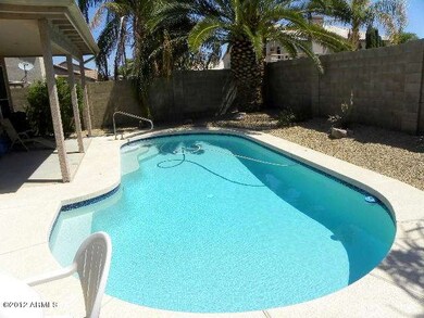 Pool and Backyard