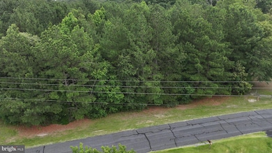 0 Helms Landing Rd, Dagsboro, DE 19939 - photo 3