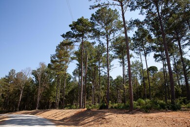 535 Rabbit Pen Dr, Appling, GA 30802 - photo 4