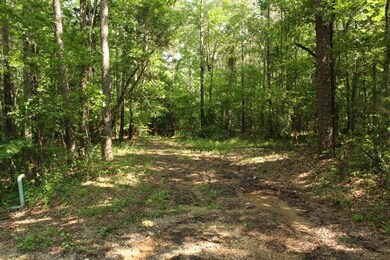 150=911# Cr 233 (King Bailey Road), Oxford, MS 38655 - photo 7