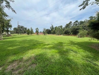 BD-4 Meisner Rd, Springfield, LA 70462 - photo 2