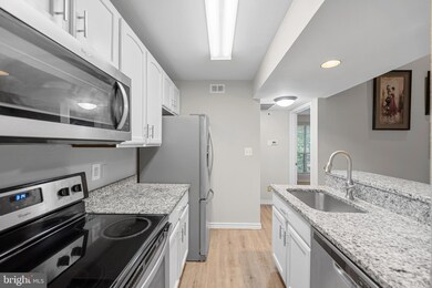 12152 Penderview Terrace unit 1332, Fairfax, VA 22033 - photo 4