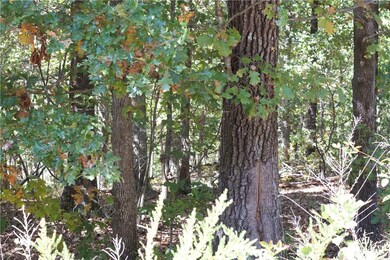 6 Earby Ln, Bella Vista, AR 72714 - photo 5