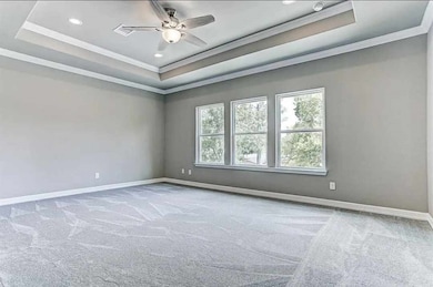 Nice & spacious Master bedroom (no carpet the room