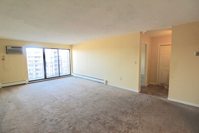 Charles River Towers unit 622, Watertown, MA 02472 - photo 6