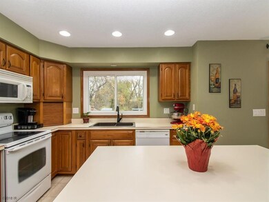 4713 Crestmoor Dr, Des Moines, IA 50310 - photo 6