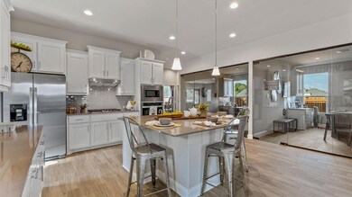 1405 Razorbill Rd, Denton, TX 76205 - photo 7