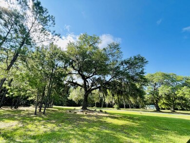 Lot Oak View from rear