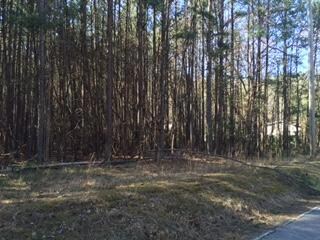 0 N Dick Creek Rd unit 1245703, Lafayette, GA 30728 - photo 2
