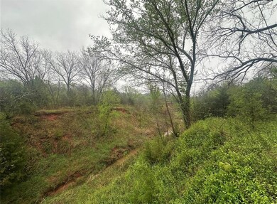 00 Okay S 40 Acres Rd, Tecumseh, OK 74873 - photo 4