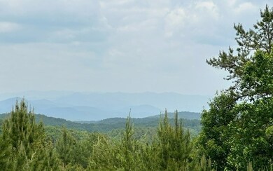 Additional View