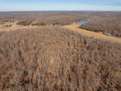 000 SE Highway J, Collins, MO 64738 - photo 7