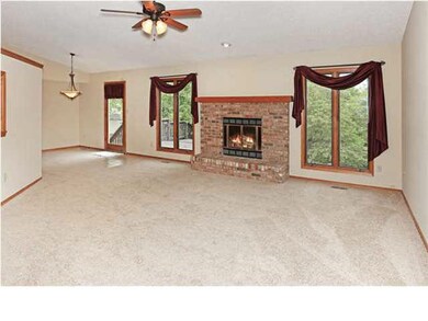 Wood Burning Fireplace with Gas Starter