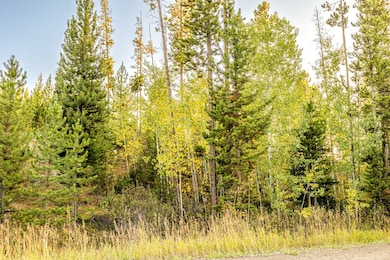 Lot 1 TBD Harris Rd, Anaconda, MT 59711 - photo 3