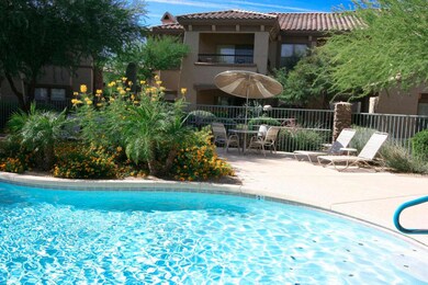 The_Village_Communtiy_Pool_6