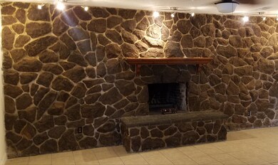 1537 Magnolia fireplace
